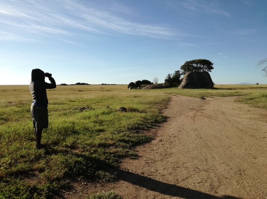 Tarry Adventures and Safaris-莫西必去景点