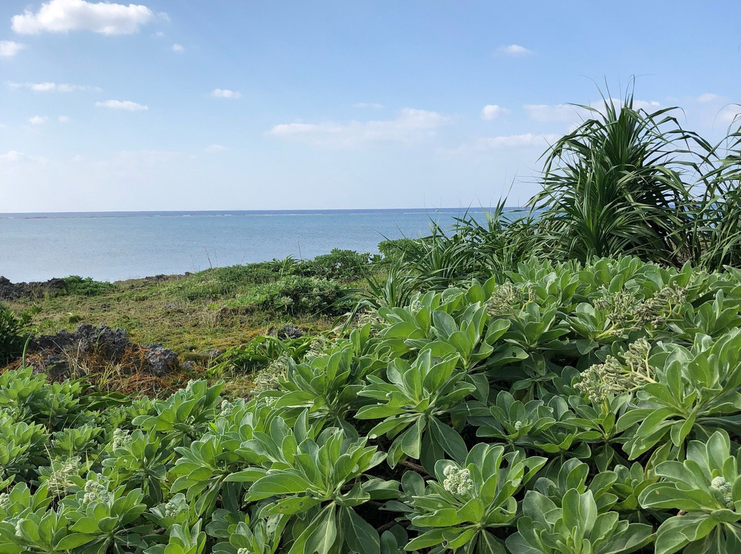 Kuroshima Lighthouse景点图片