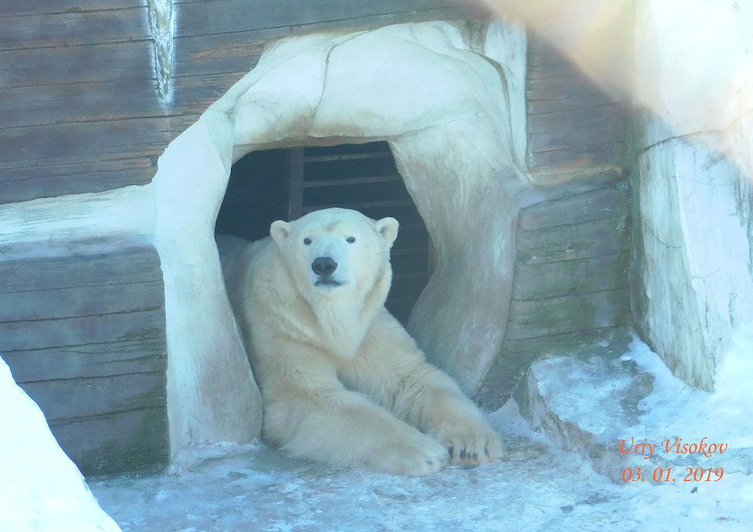Zoosad Priamurskiy named after V.P. Sysoyev-哈巴罗夫斯克必去景点