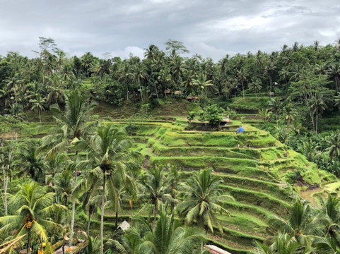 Bali Rent Tour-沙努尔必去景点