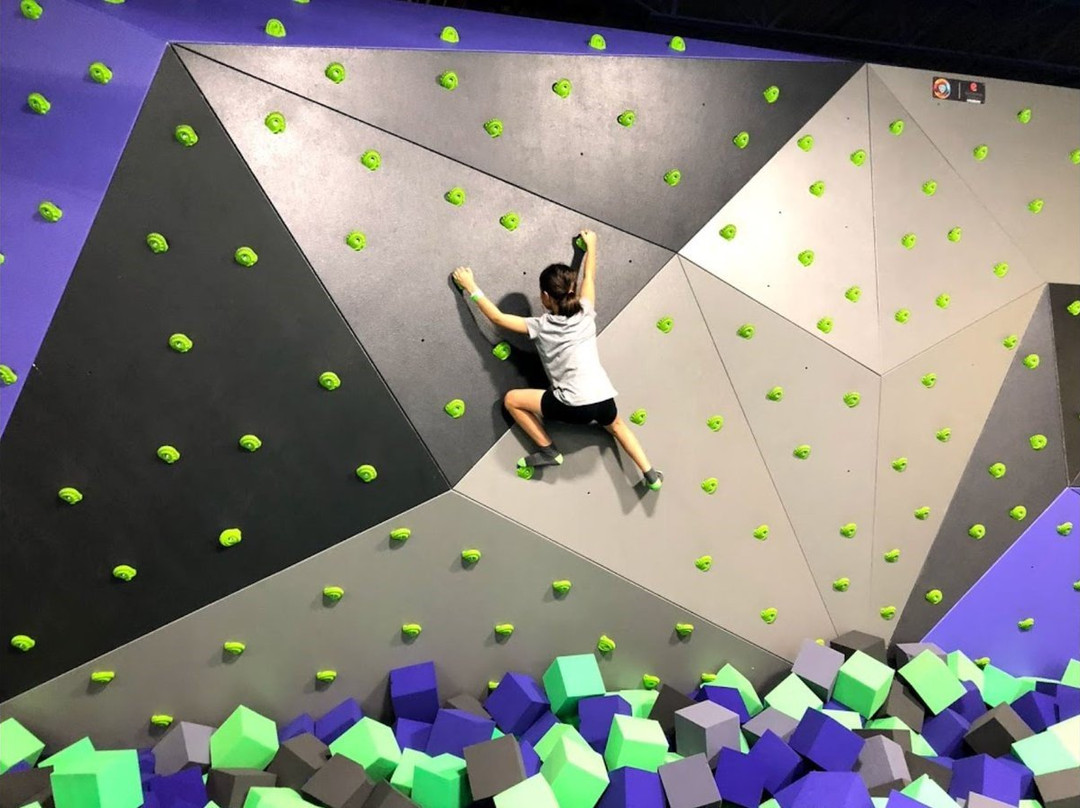 Air Insanity Indoor Trampoline Park-罗切斯特必去景点