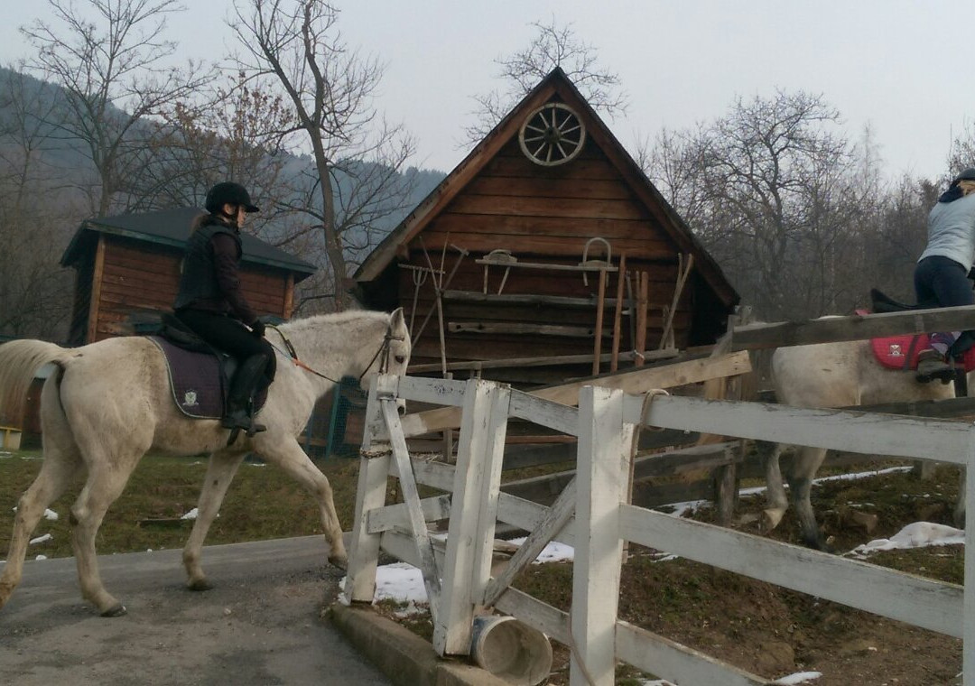 Equestrian Club Djeca Vjetra景点图片