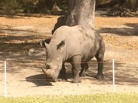 GTS Bar and Restaurant