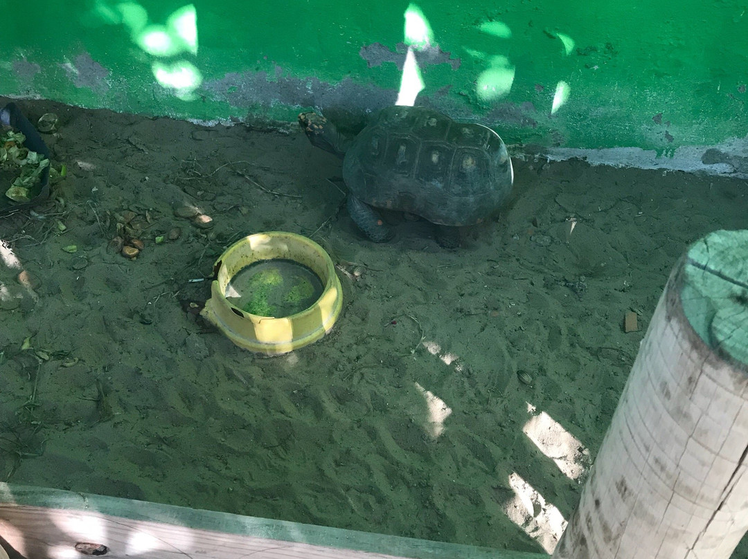 PonoPoint-Eusebio必去景点