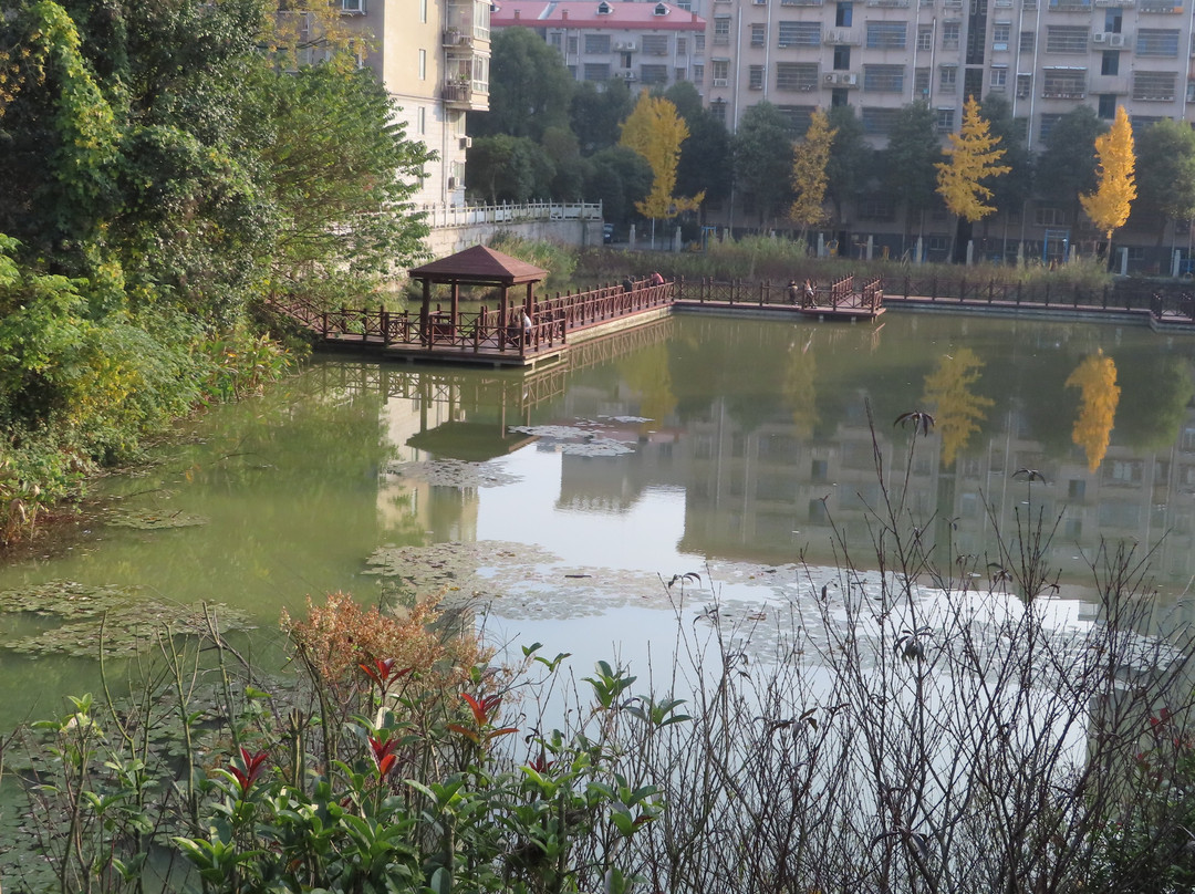 金鄂山公园-岳阳市必去景点