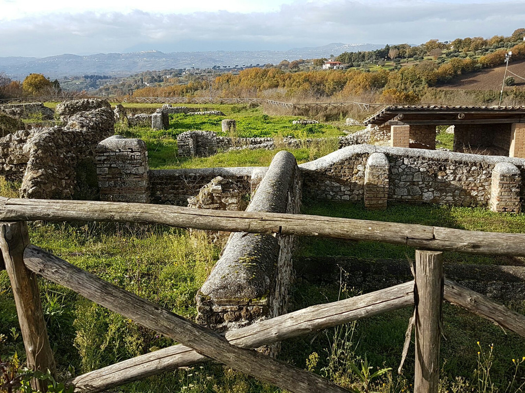 Parco Archeologico di Aeclanum景点图片