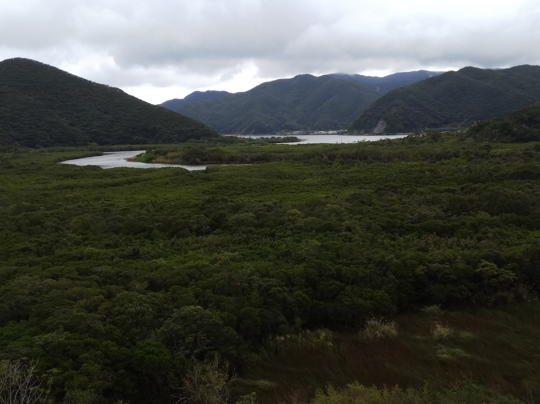 Mangrove Observatory-奄美市必去景点