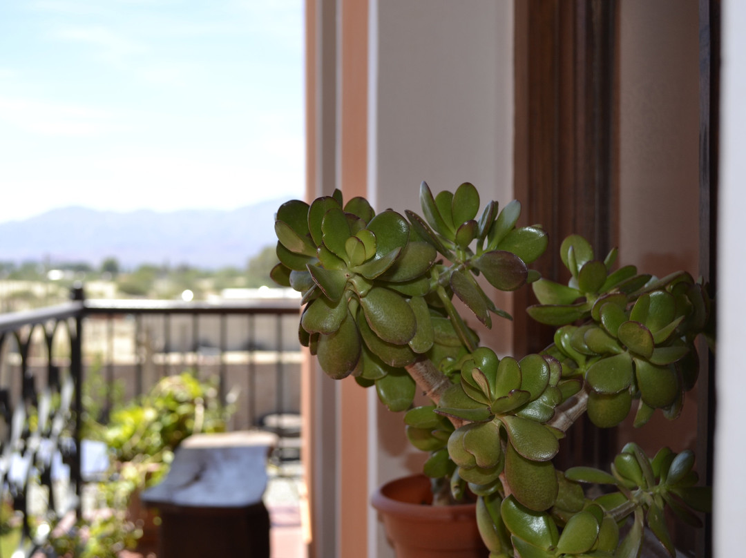 Alto Del Valle Cafayate主图