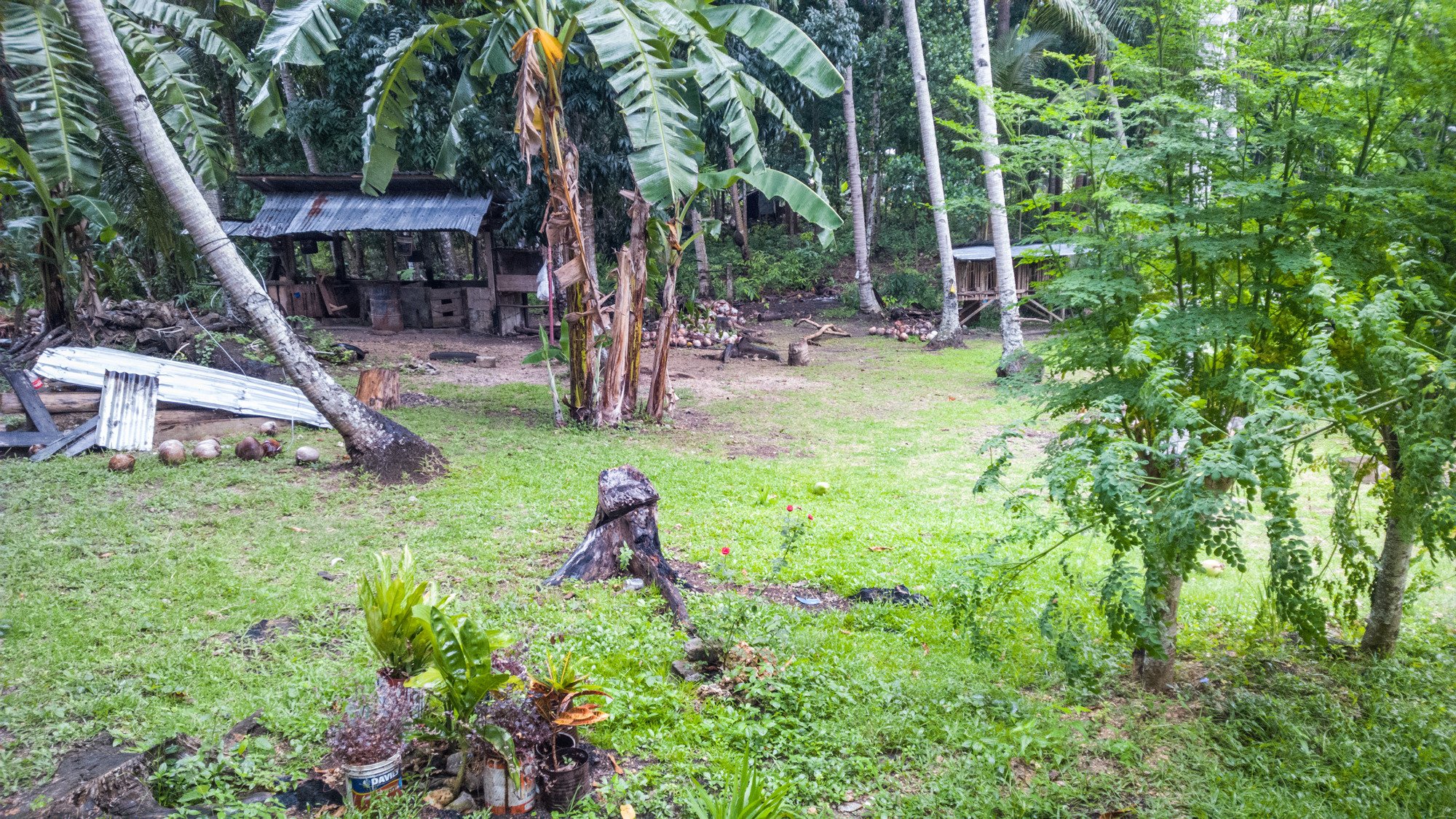 James Homestay-酒店景观