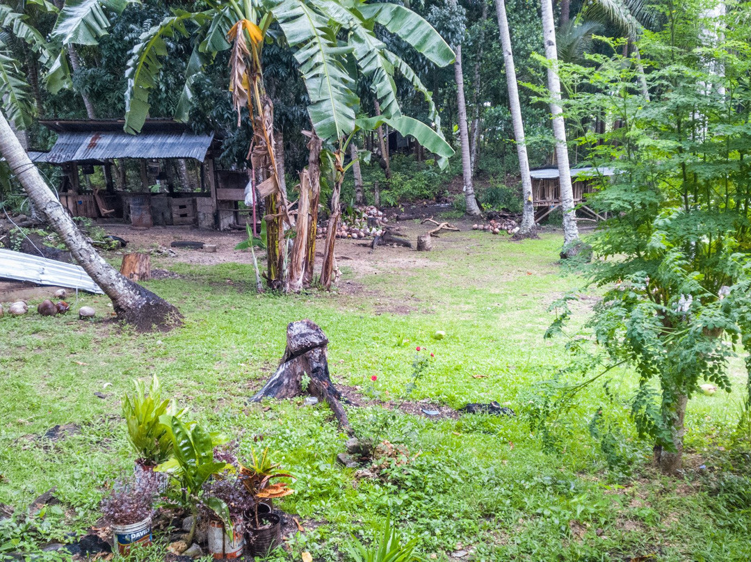 James Homestay主图