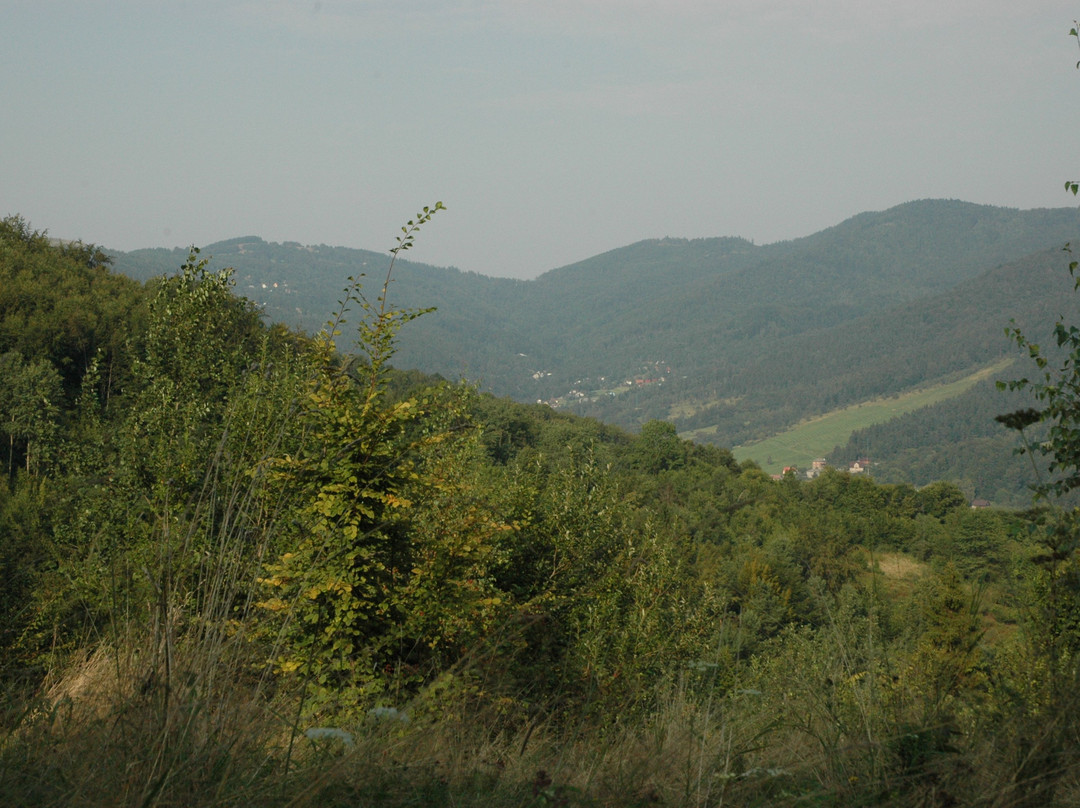 Park Krajobrazowy Beskidu Małego景点图片