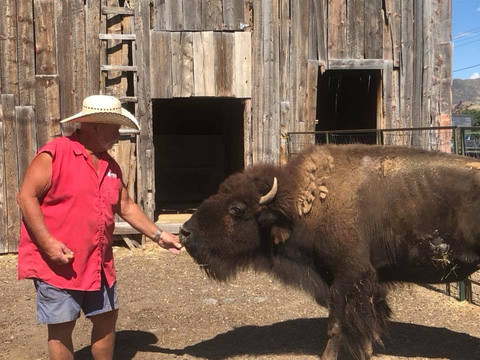 RunDown Ranch Kids Farm-Kamas必去景点
