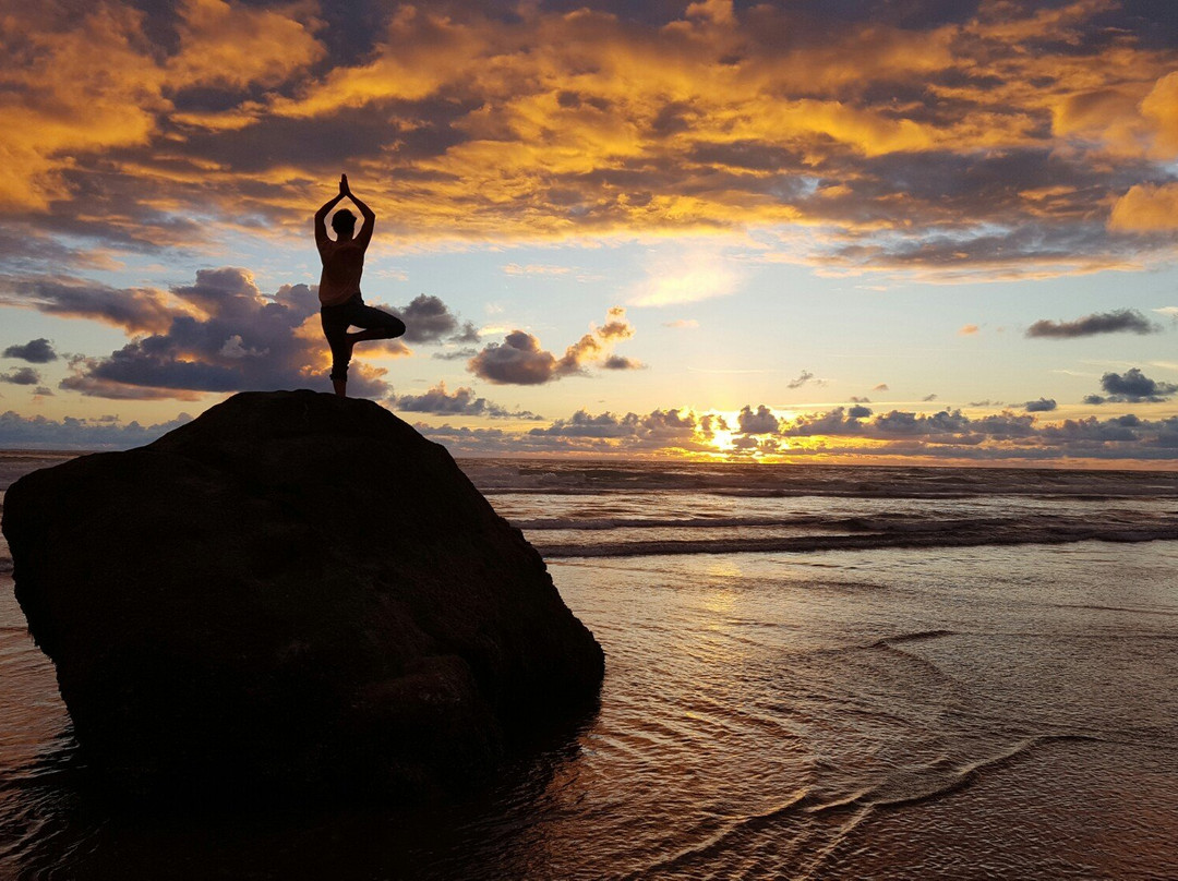 Vernonia Springs主图