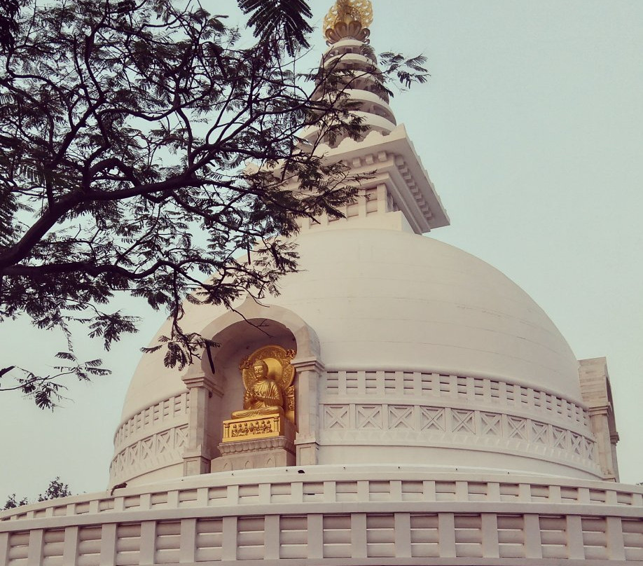 Vishwa Shanti Stupa景点图片