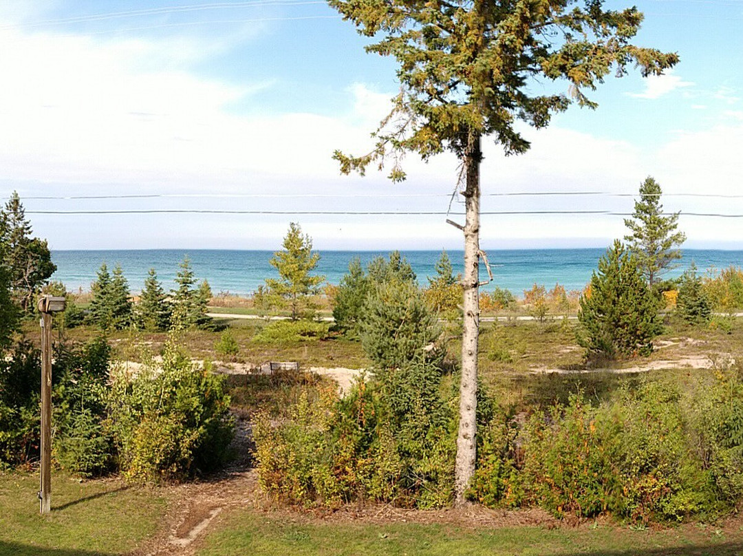 Driftwood Motel主图