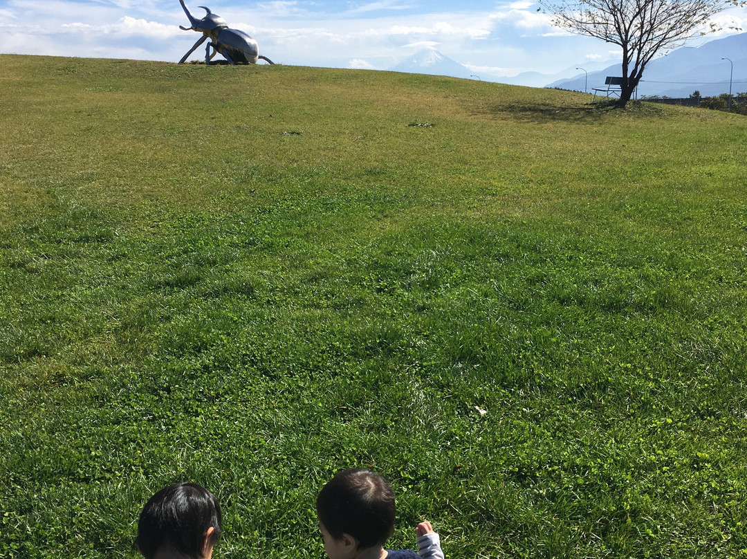 Kobuchisawa Insect Art Museum-北斗市必去景点