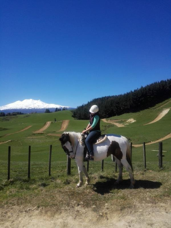 Ruapehu Homestead Horsetrekking景点图片