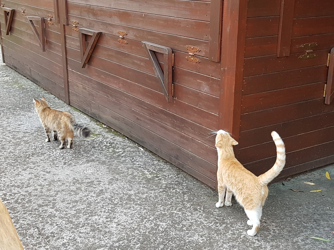 Archaeological Park of Pontecagnano Faiano-Faiano必去景点
