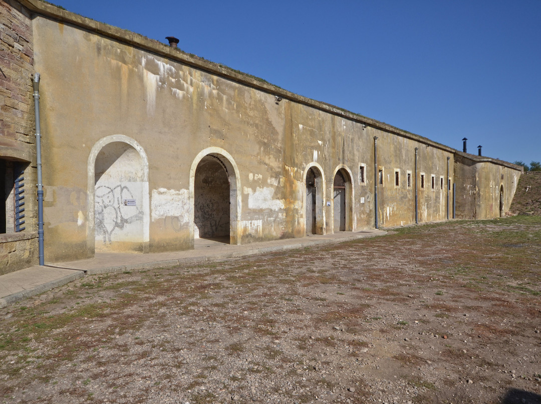 Fort De La Grande Haye景点图片