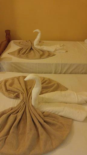 Caribbean Holiday Apartments主图