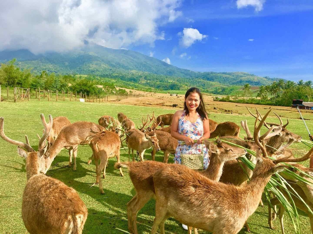 Ocampo Deer Farm景点图片