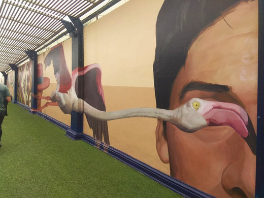 Inkan Milky Way Tours Lima-利马必去景点