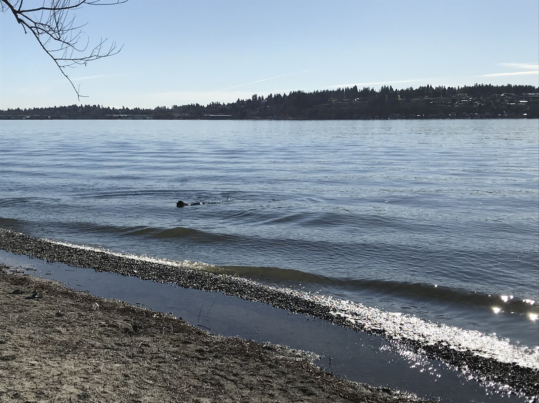 O. O. Denny Park-柯克兰必去景点