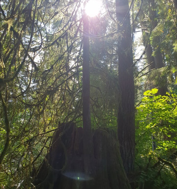 Cherry Creek Falls-Duvall必去景点