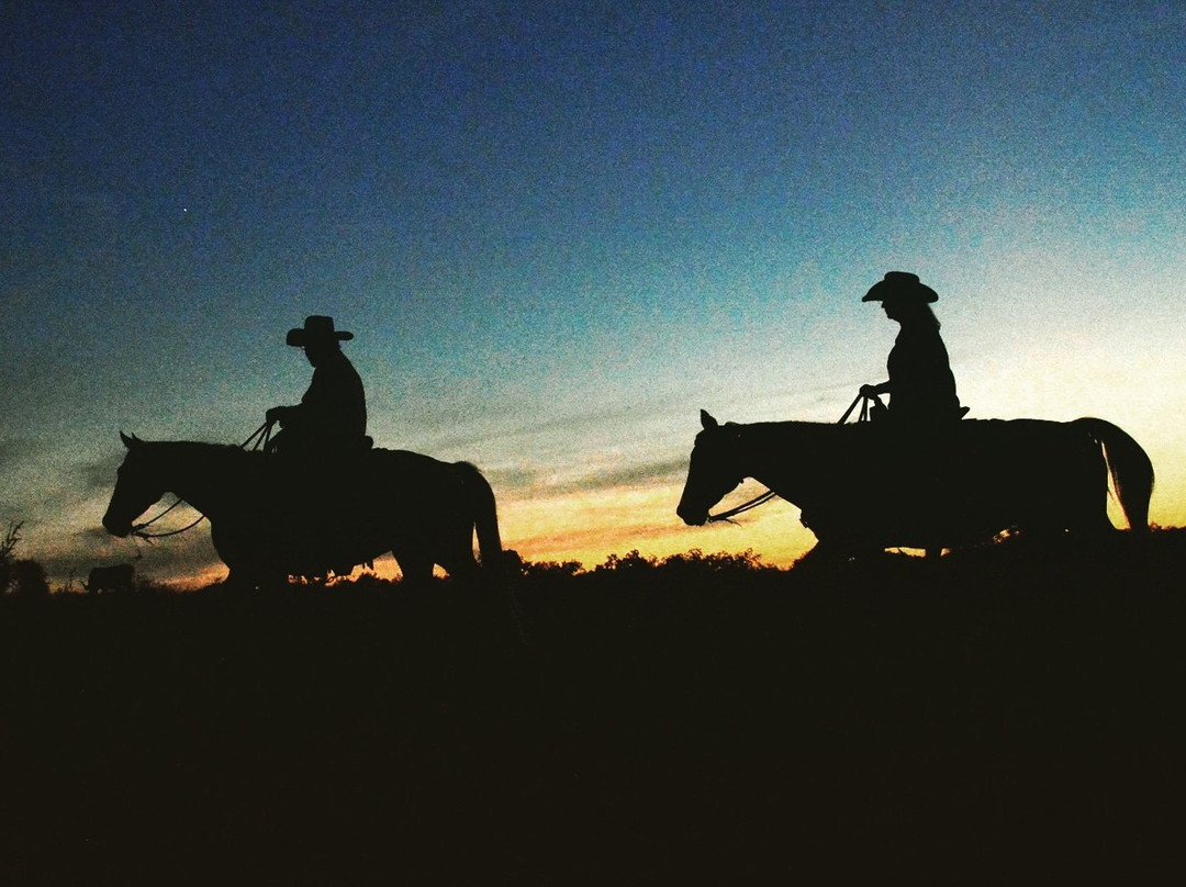 Texas Ranch Life景点图片