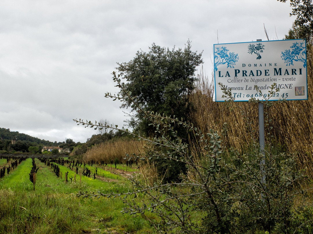 Domaine La Prade Mari景点图片