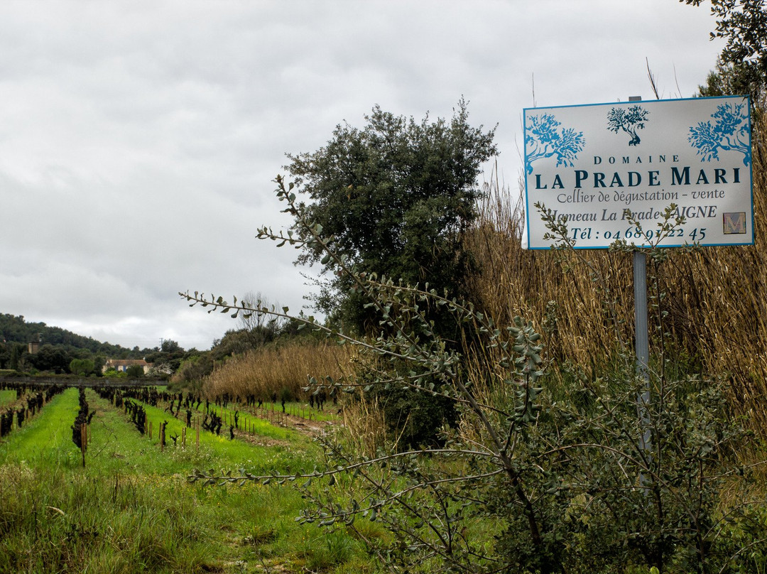 Domaine La Prade Mari-Aigne必去景点