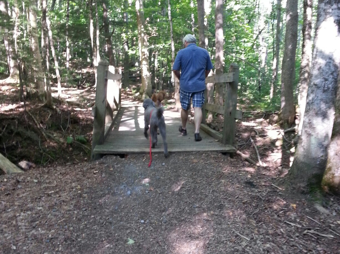 Odell Park-弗雷德里克顿必去景点