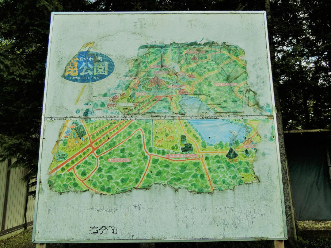 Abira Town Deers Park-安平町必去景点