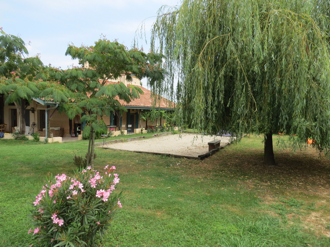 Les Terrasses des Mimosas主图