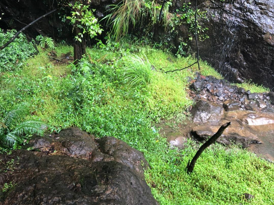 南昆山-龙门县必去景点