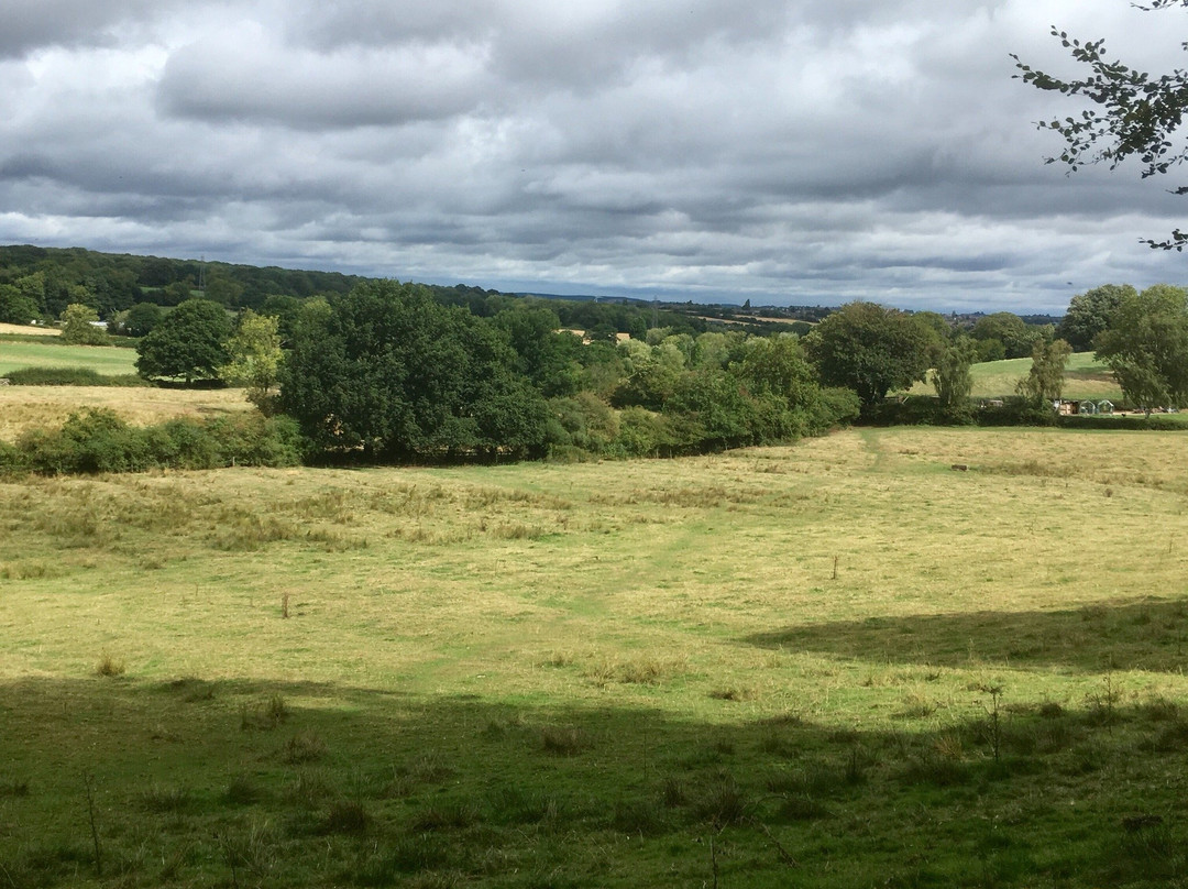 The Hermitage-Dale Abbey必去景点