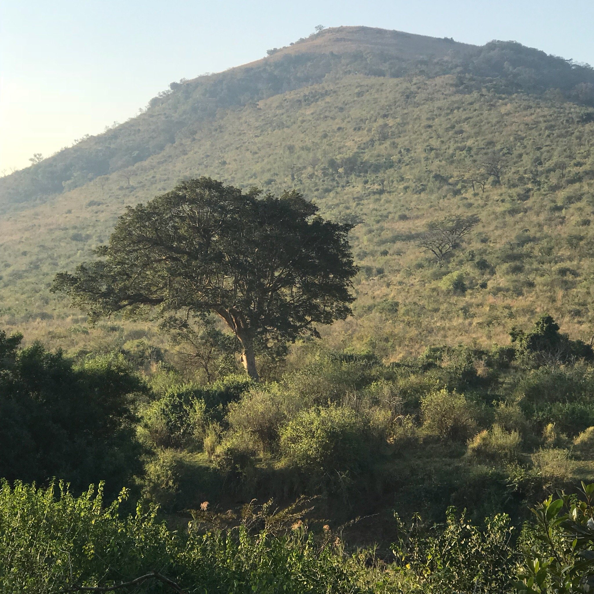 Aloe View Rock Lodge-官方