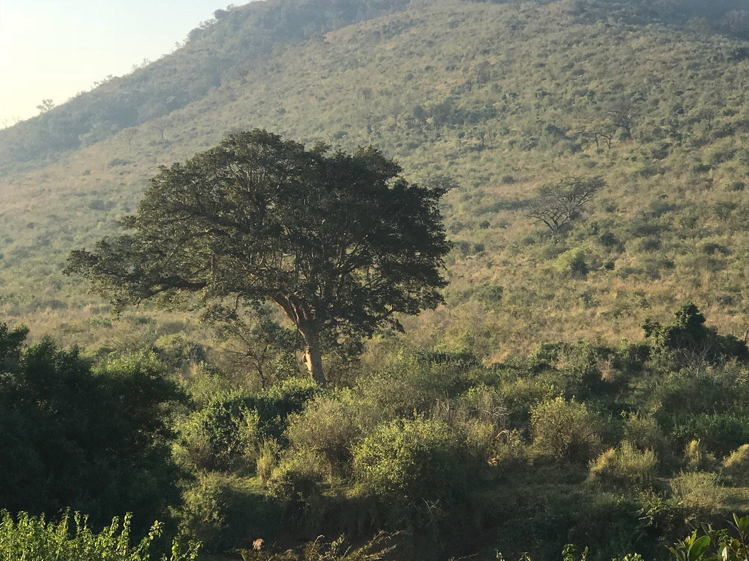 索德瓦纳酒店住宿-Aloe View Rock Lodge