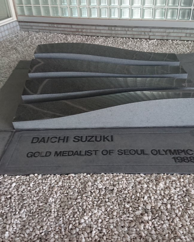 Chiba International Swimming Pool-习志野市必去景点