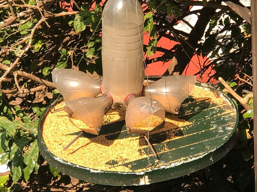 Acorn B&b In Durban主图