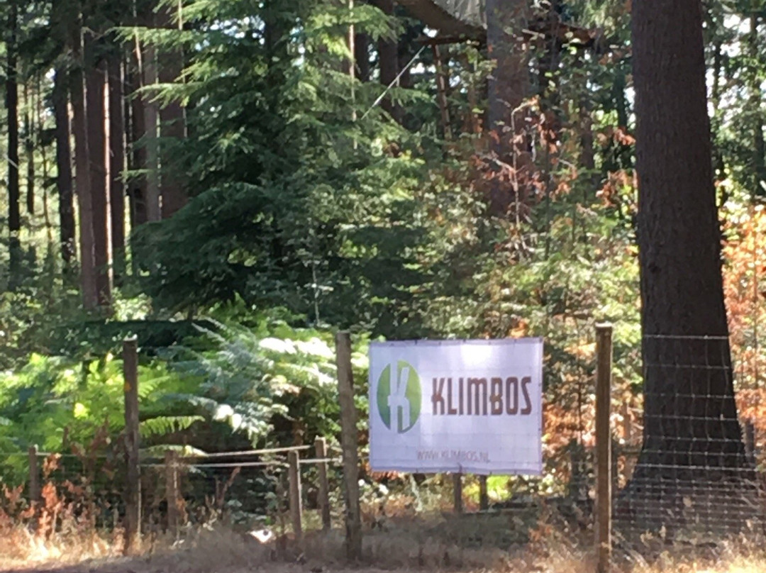 Klimbos Lage Vuursche-Lage-Vuursche必去景点