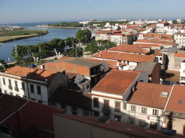 Largo Dom Afonso Sanches景点图片