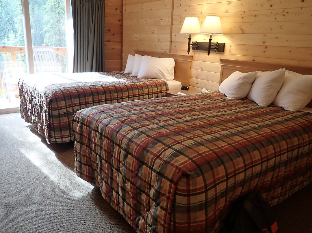 Denali Grizzly Bear Resort