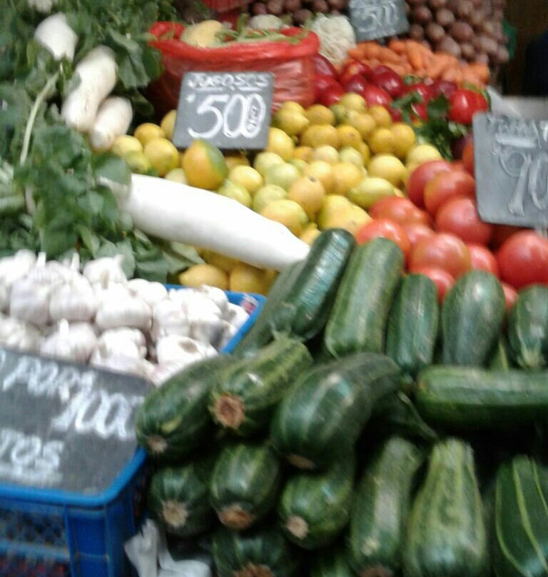 Open Plaza Ovalle-Ovalle必去景点