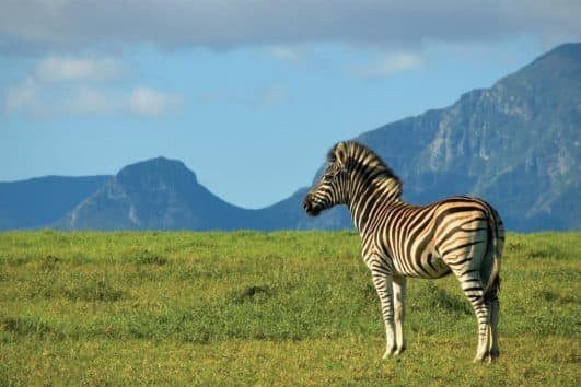 Afriventures Trails-Great Brak River必去景点