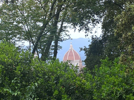 Florencewalk - Guided Tours in Florence-佛罗伦萨必去景点