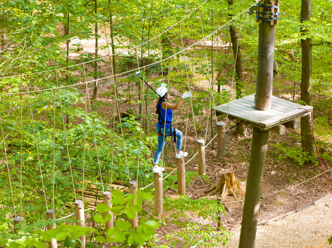 Kletterwald Hamburg-汉堡必去景点