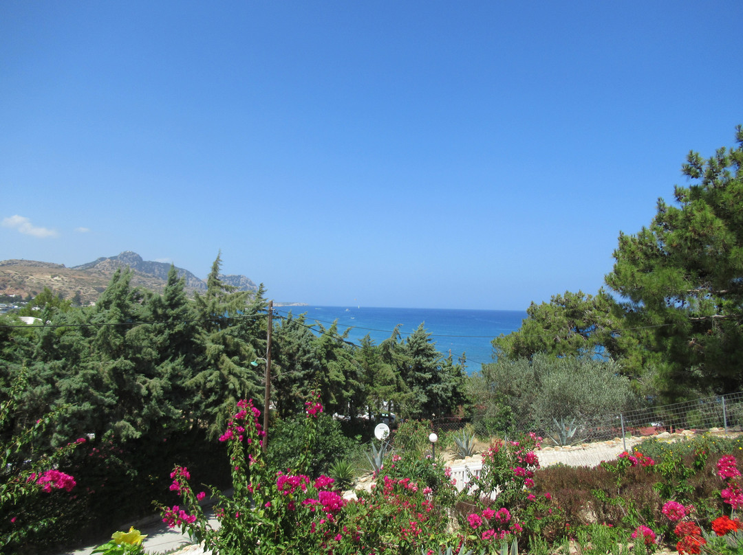 Bouganville Studios主图