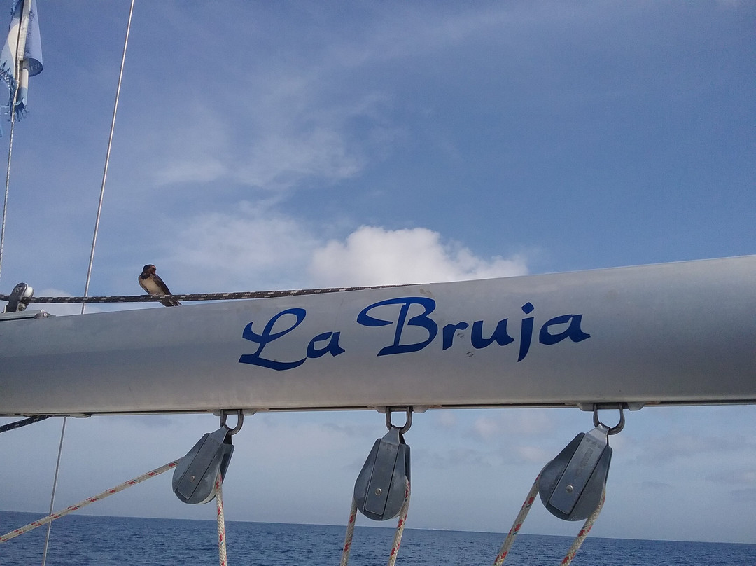 Nautical Events and Charters-卡斯特尔德费尔斯必去景点