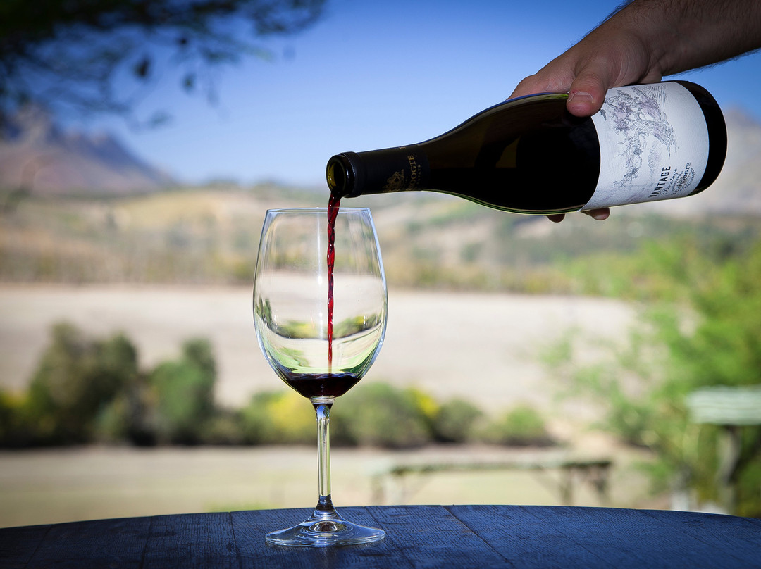 Remhoogte Wine Estate-斯泰伦博斯必去景点